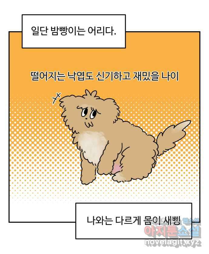 강아지는 멍멍하고 짖지 않아! 5화 - 놀아줘, 근데 24시간 8