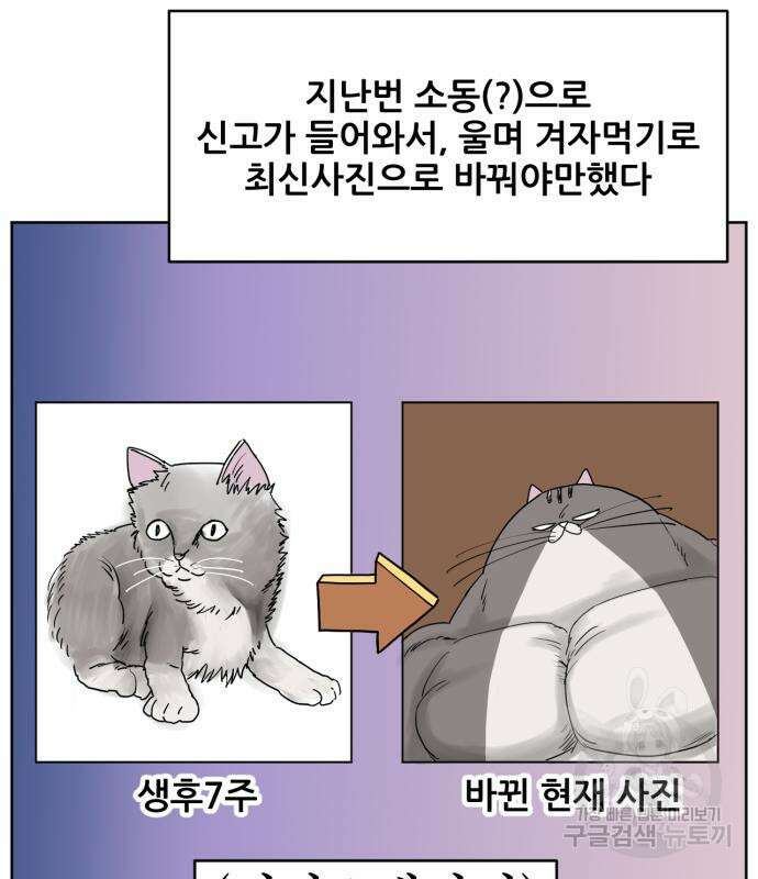 괴양이 3화 4