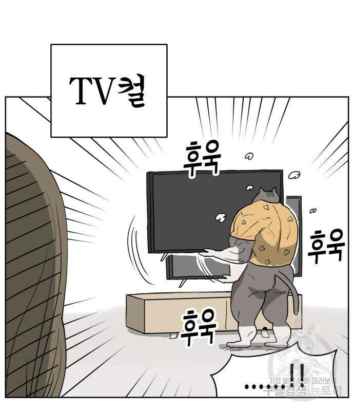 괴양이 3화 47