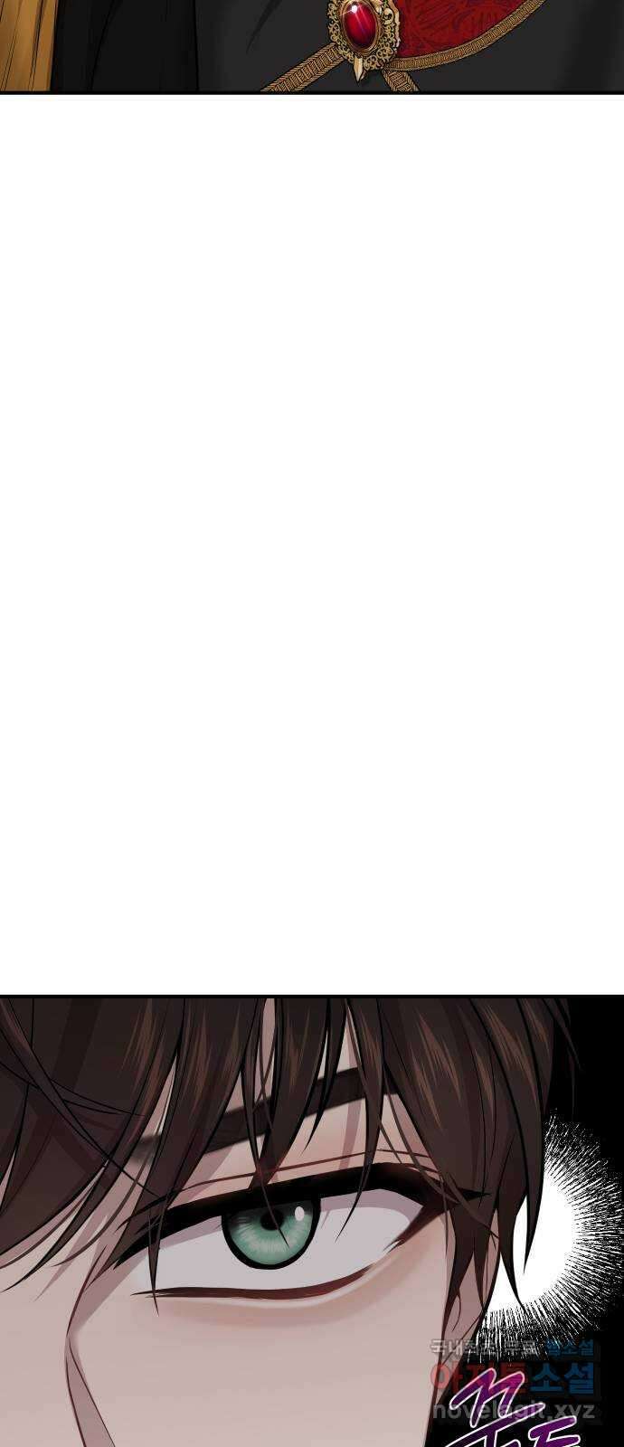 버림받은 왕녀의 은밀한 침실 54화. 황금 까마귀의 파트너 85