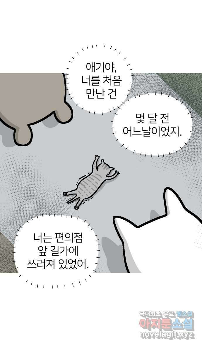 애옹식당 82화 애기, 입양가다?!(2) 2
