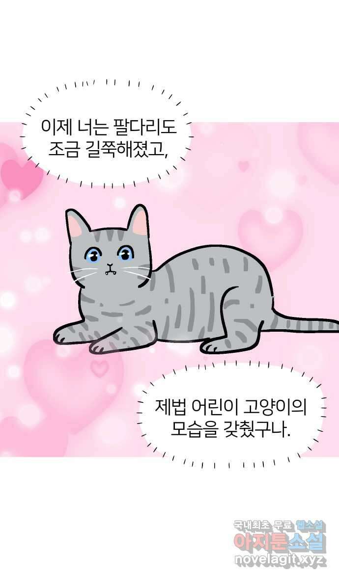 애옹식당 82화 애기, 입양가다?!(2) 4