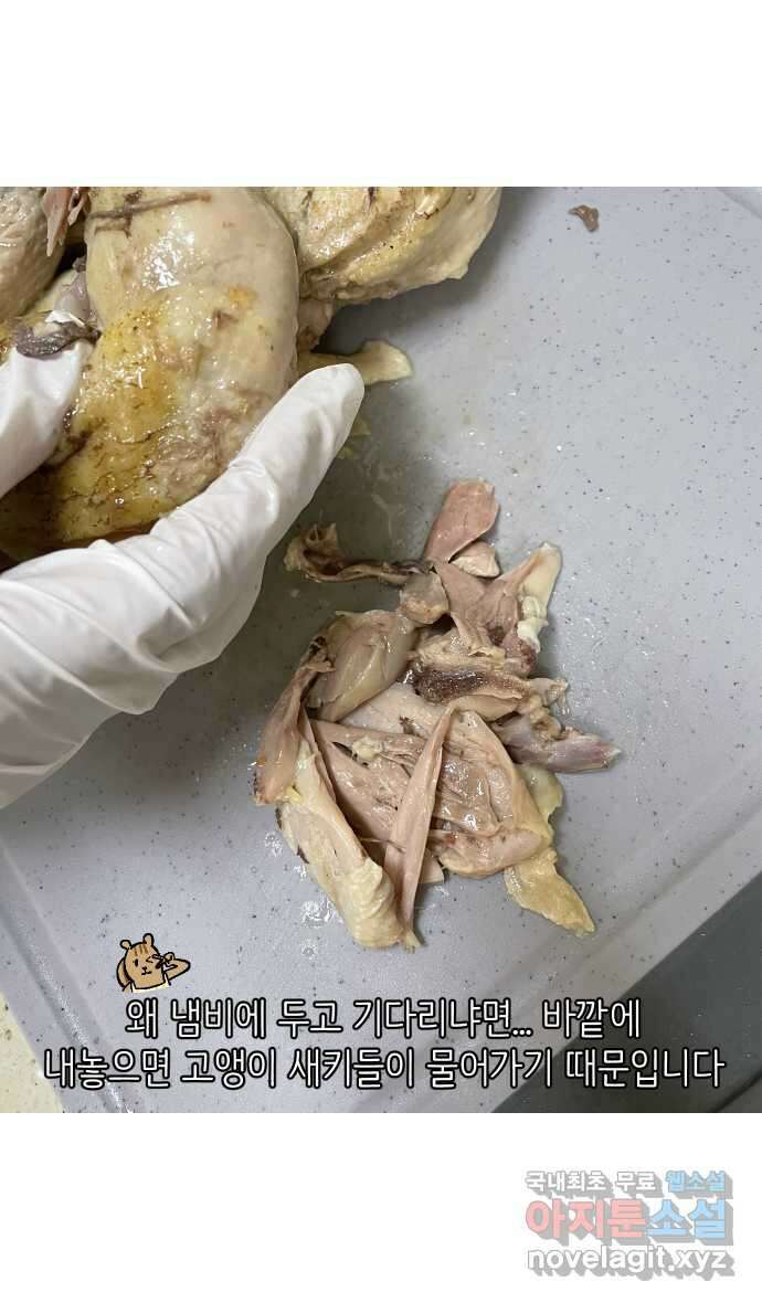 애옹식당 82화 애기, 입양가다?!(2) 19