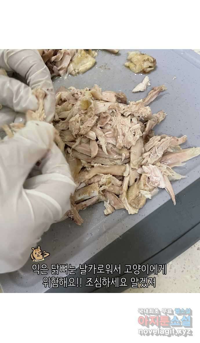 애옹식당 82화 애기, 입양가다?!(2) 20