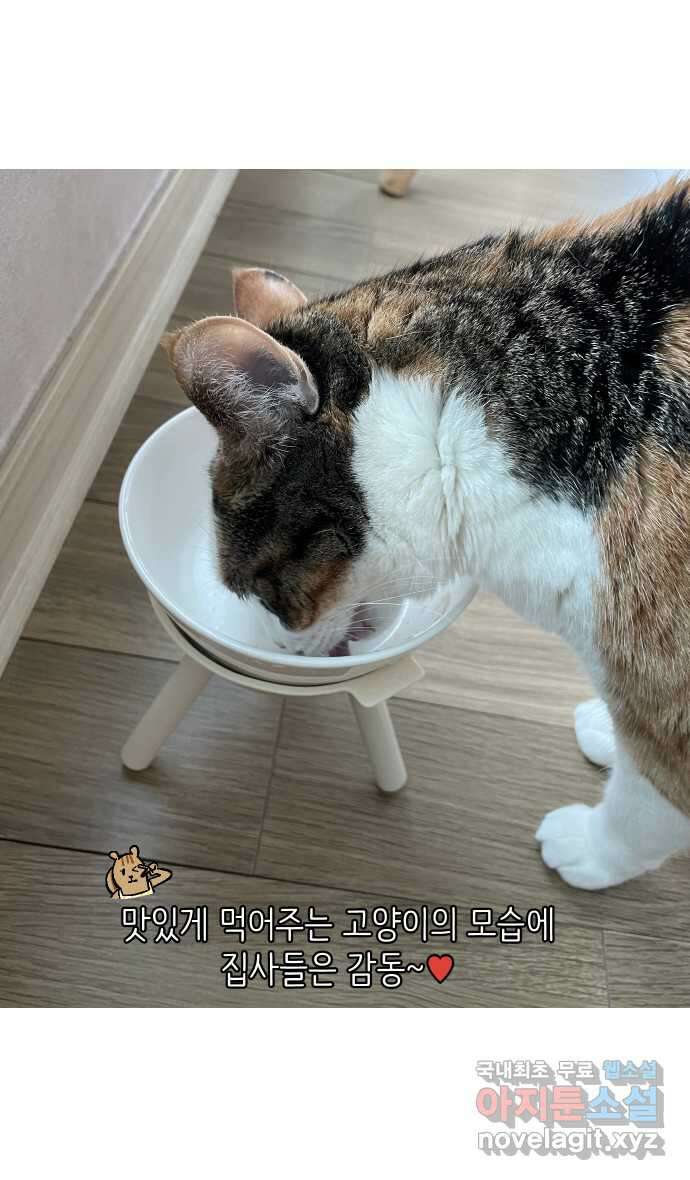 애옹식당 82화 애기, 입양가다?!(2) 25
