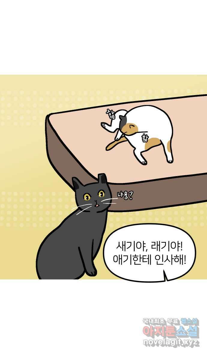 애옹식당 82화 애기, 입양가다?!(2) 35
