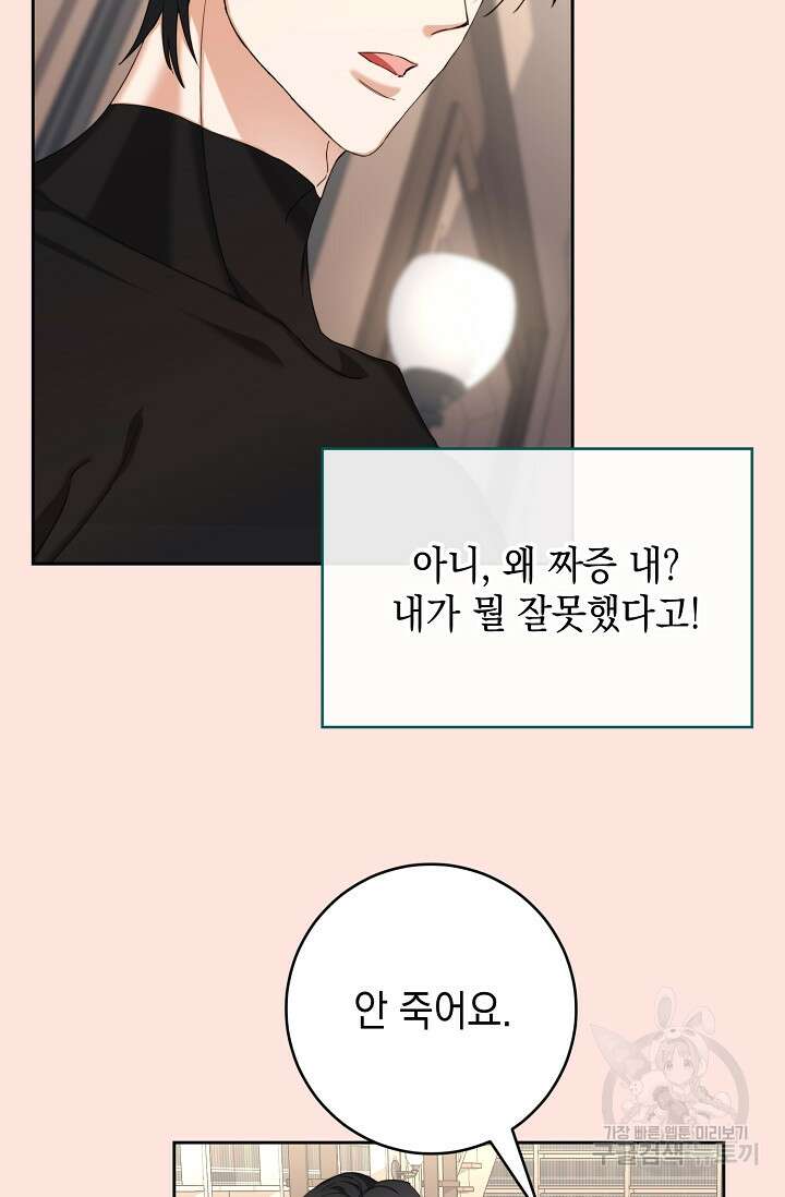 어느 왕녀를 위하여 6화 20