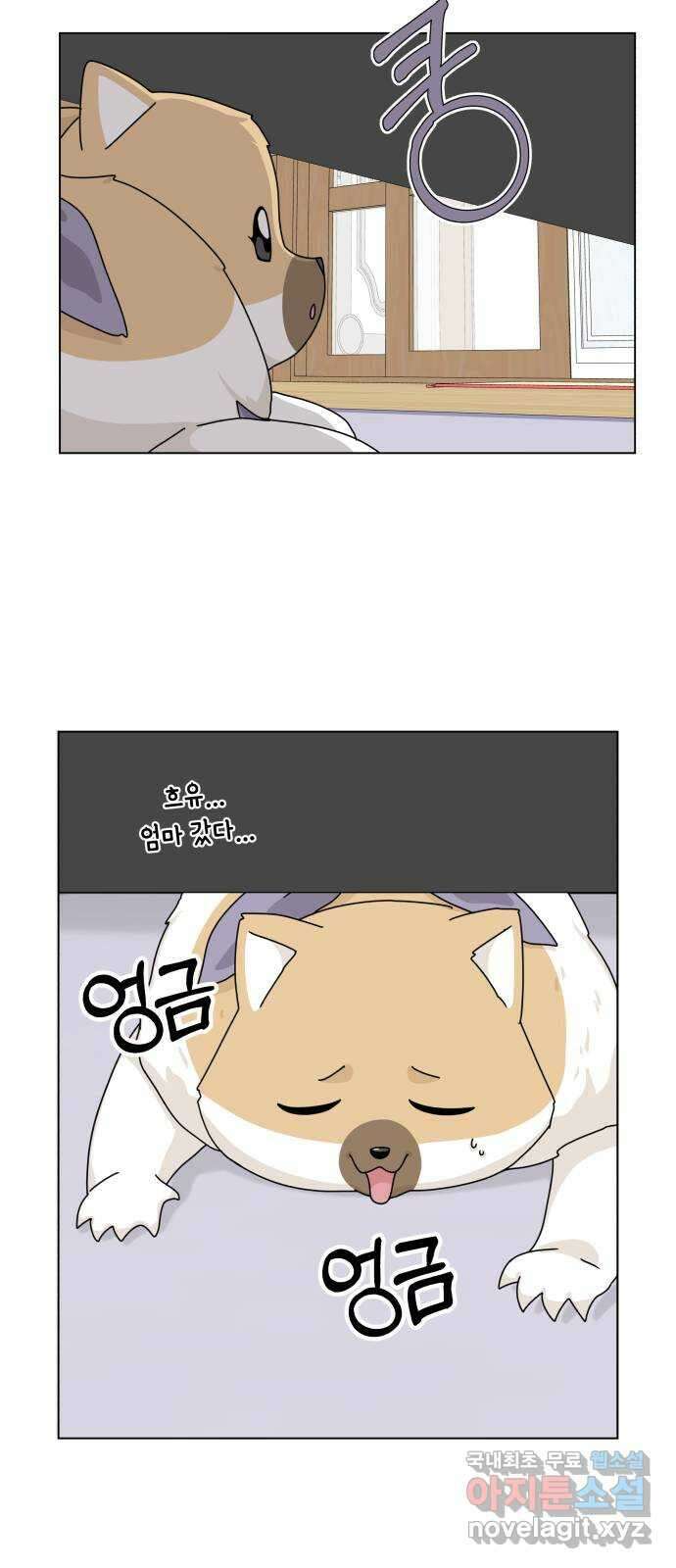 개를 낳았다 시즌2 157화 12