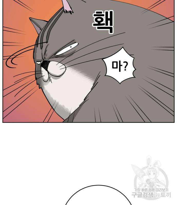 괴양이 5화 7