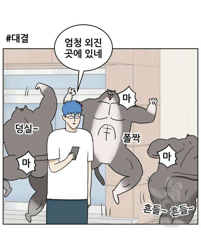 괴양이 5화 18