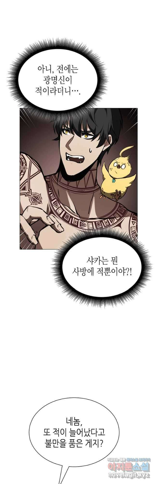 회귀했는데 FFF급 부두술사 36화 11