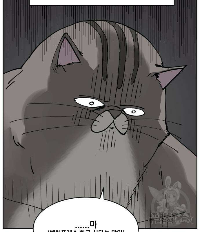 괴양이 7화 18