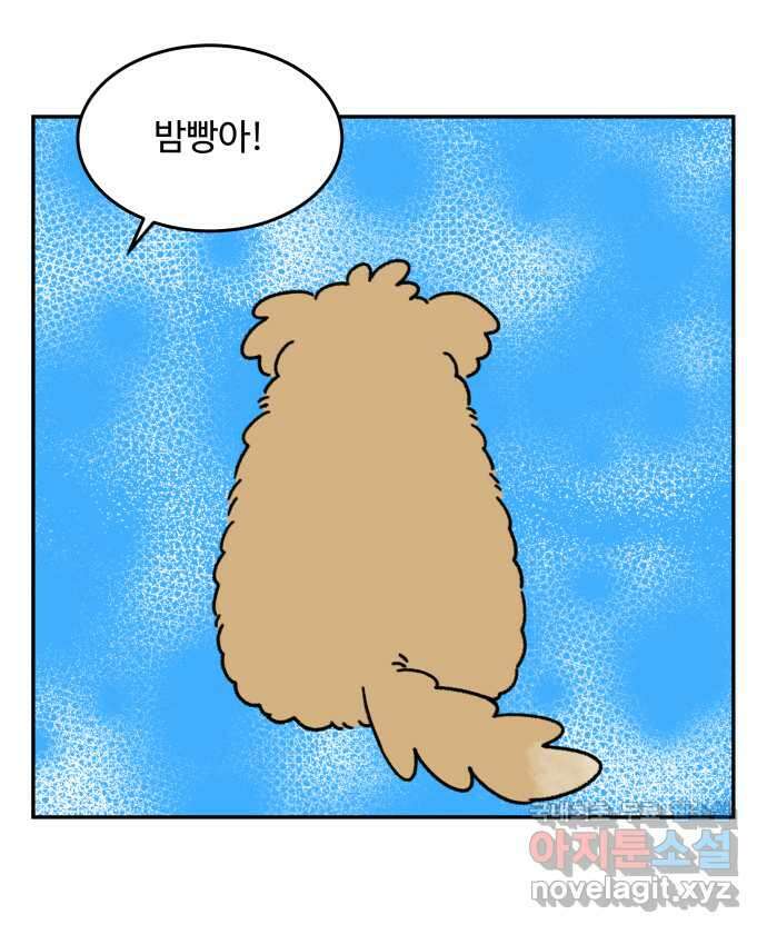 강아지는 멍멍하고 짖지 않아! 18화 - 셀프 미용 1