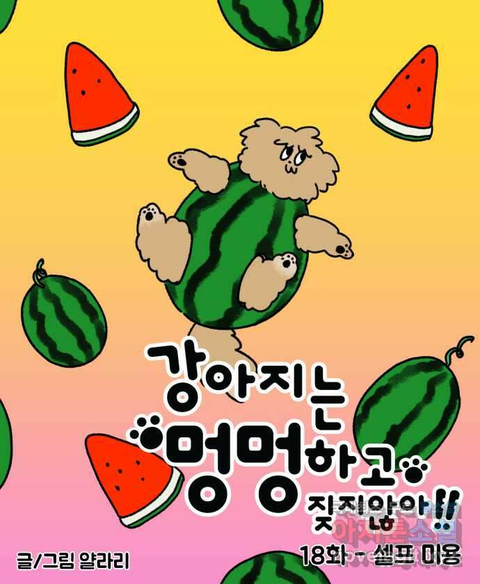 강아지는 멍멍하고 짖지 않아! 18화 - 셀프 미용 5