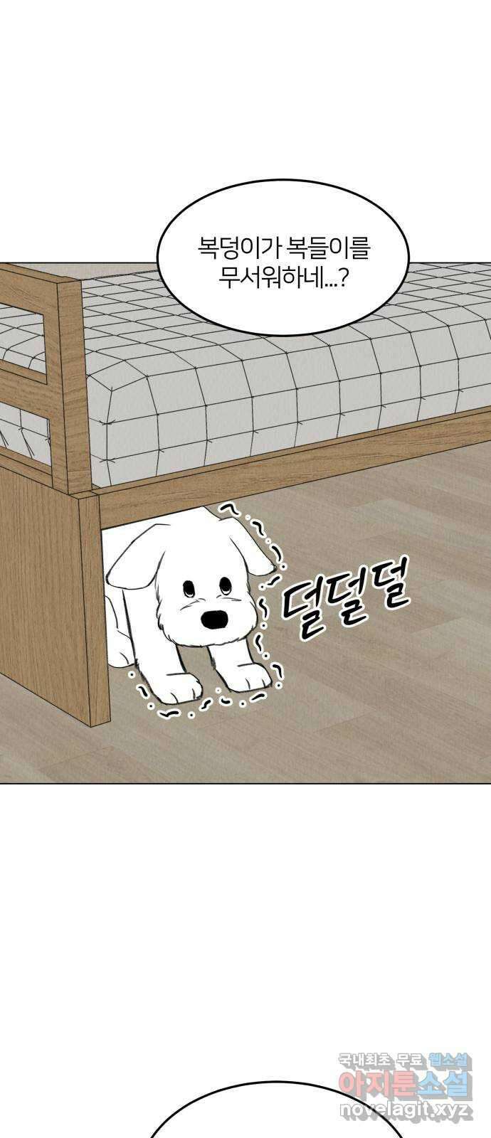 우리 집 고양이 보고 갈래? 31화 11