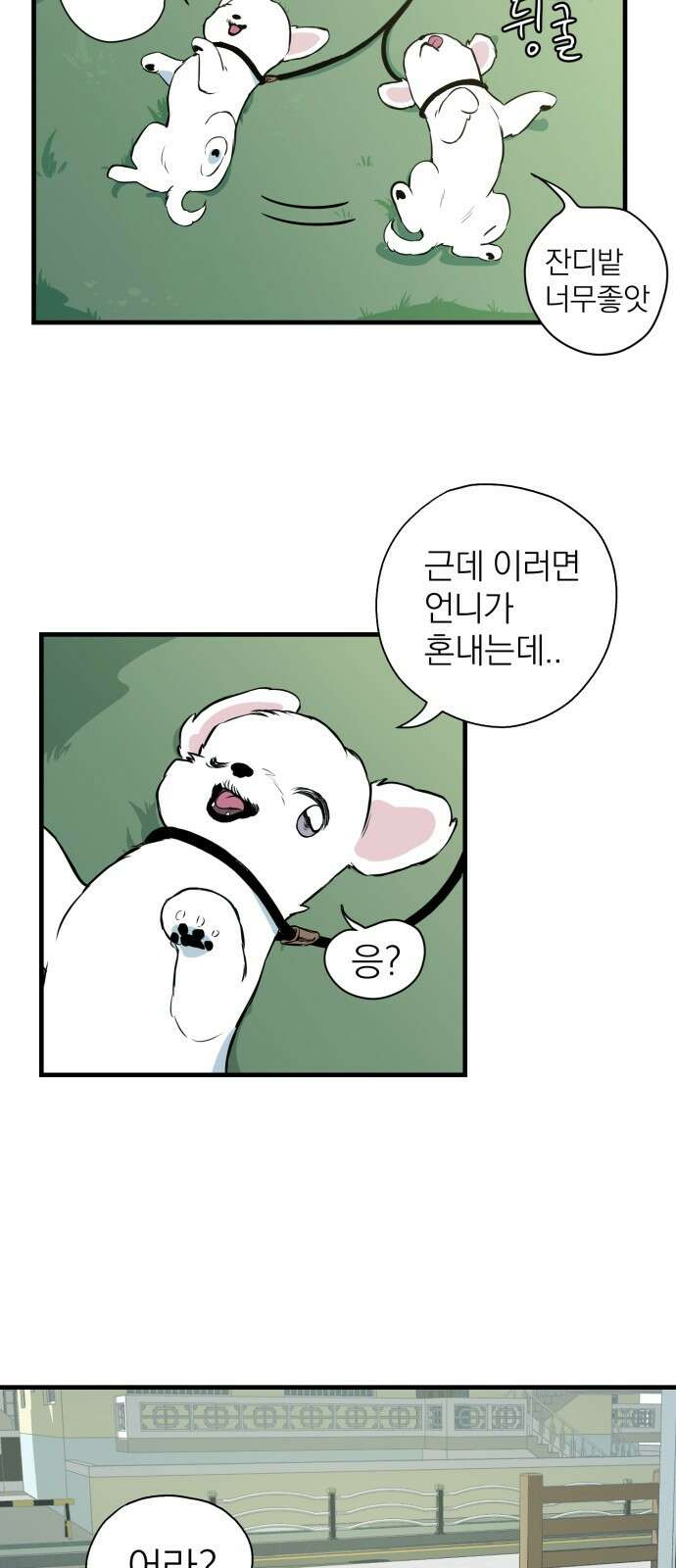 개같이 탈출 2화 9