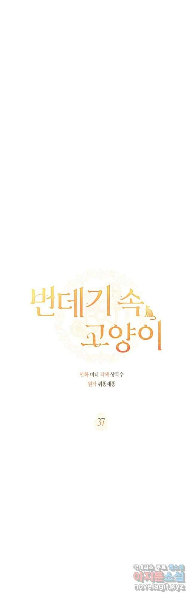 번데기 속 고양이 37화 7