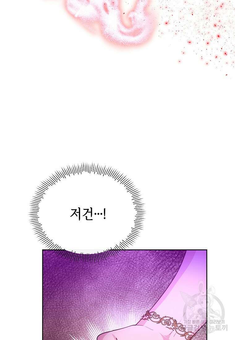 마녀의 딸이 남주의 저주를 풀면 19화 13