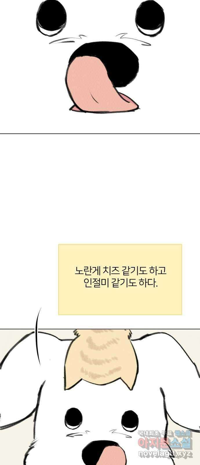 우리 집 고양이 보고 갈래? 33화 11