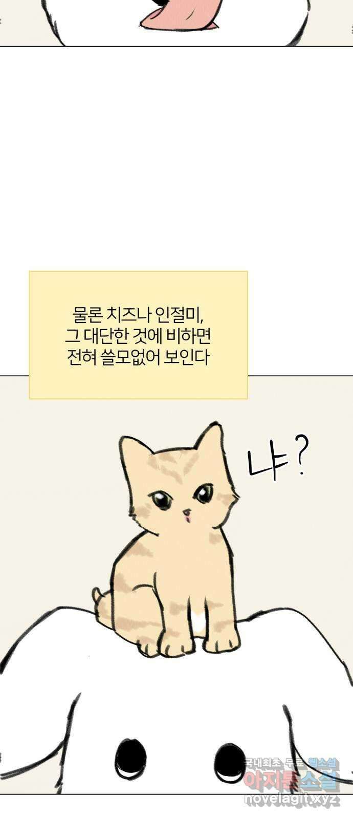 우리 집 고양이 보고 갈래? 33화 12