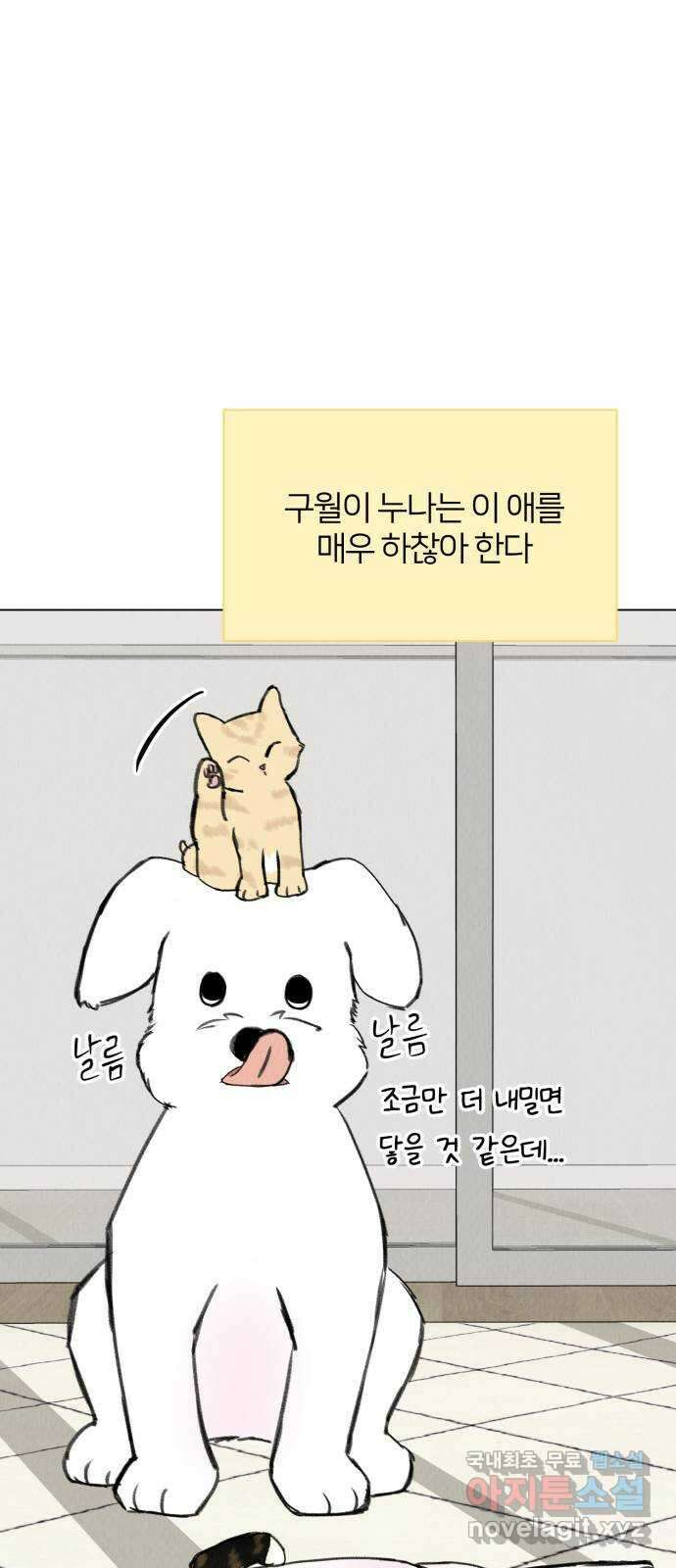 우리 집 고양이 보고 갈래? 33화 13