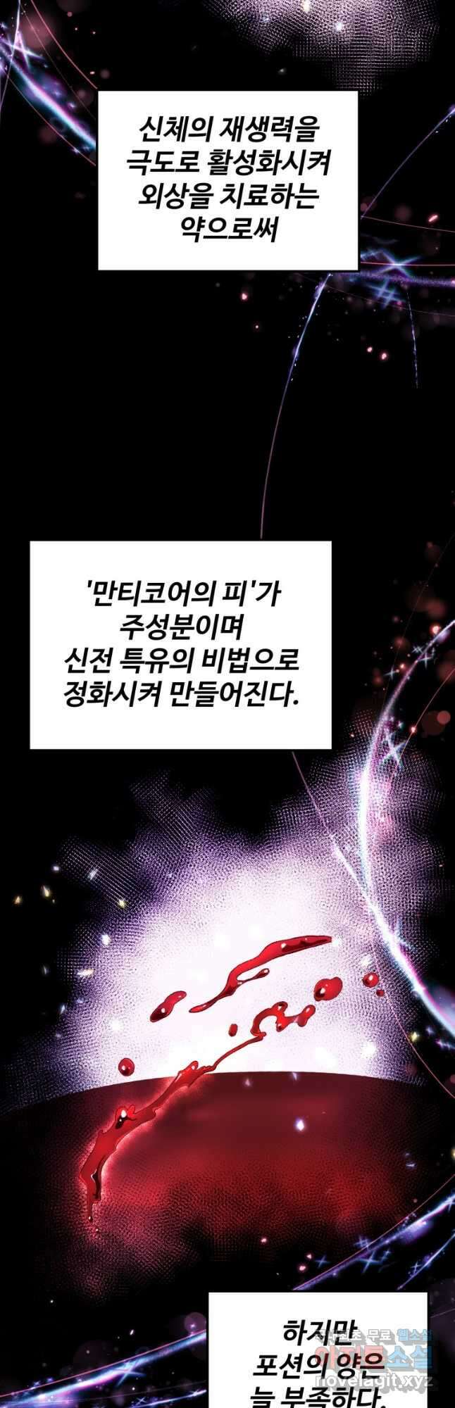 골든메이지 28화 2