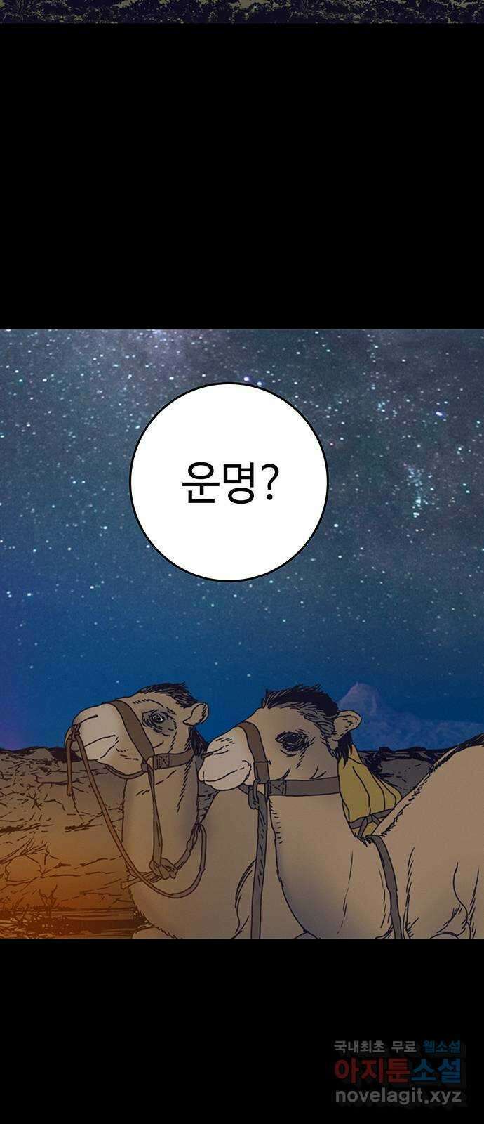 서울밤피어 29화 2