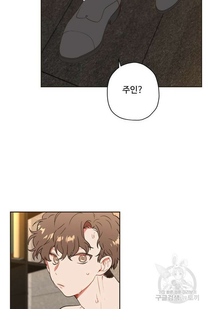 멍멍냥냥 74화 2