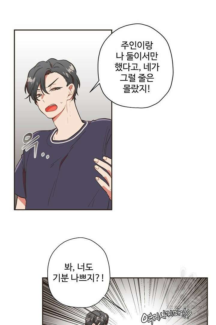 멍멍냥냥 74화 17