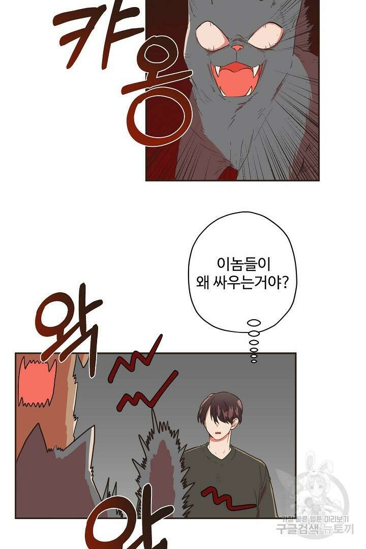 멍멍냥냥 74화 21
