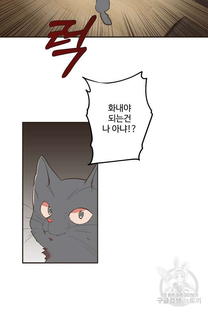 멍멍냥냥 74화 25