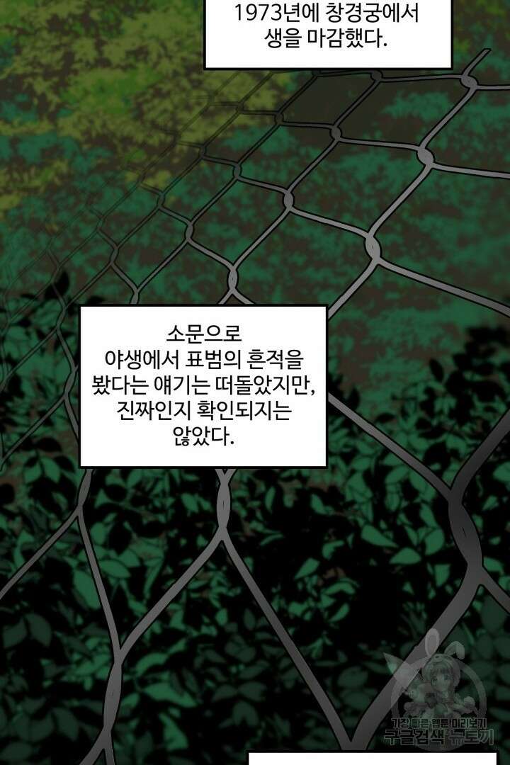 멍멍냥냥 79화 2
