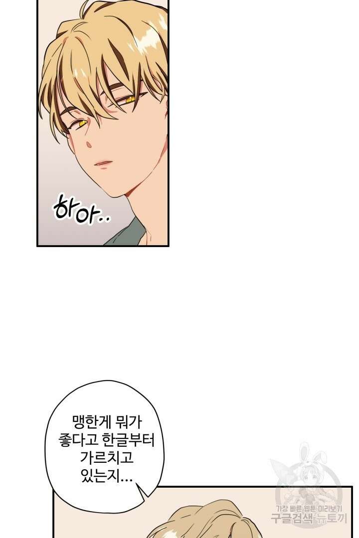 멍멍냥냥 79화 11