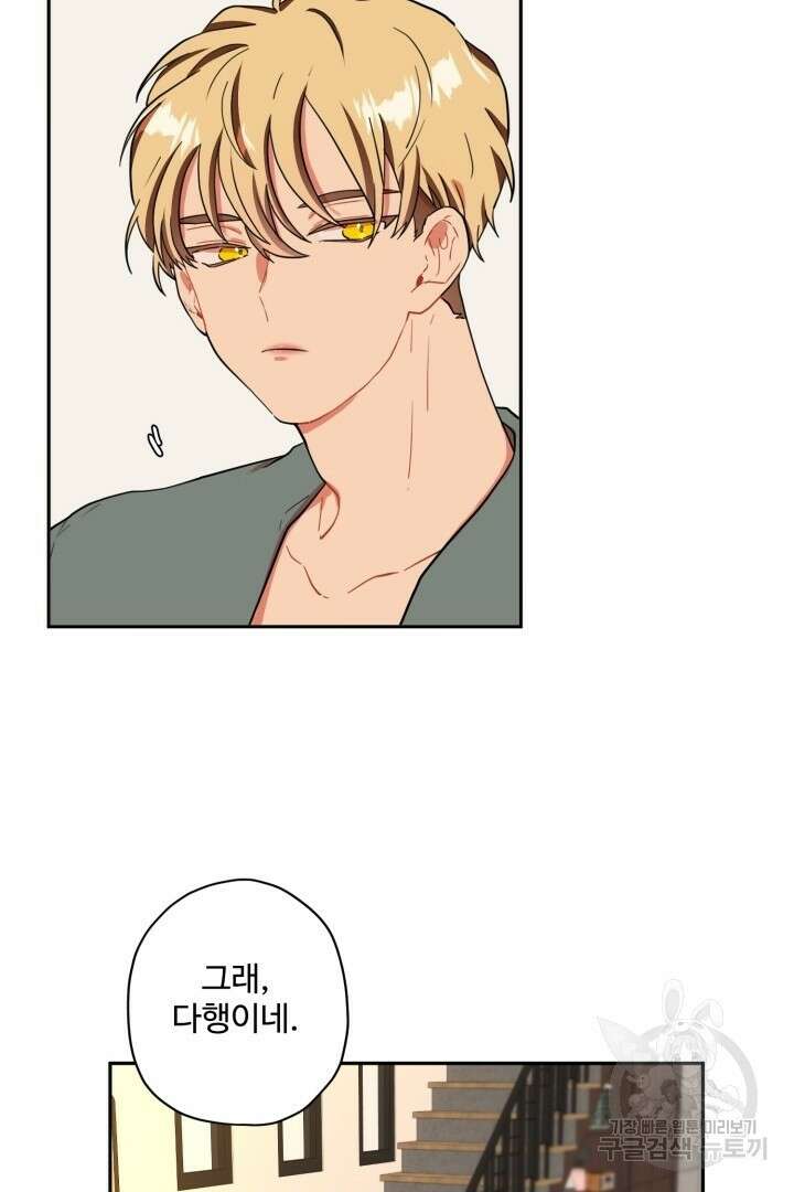 멍멍냥냥 79화 27