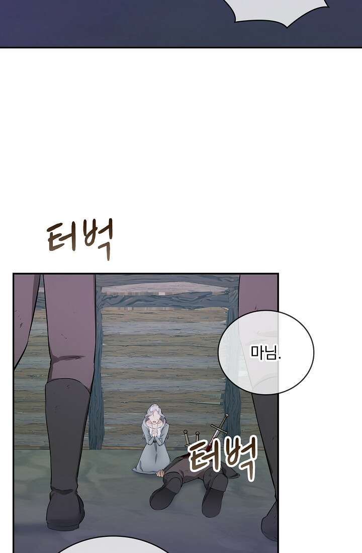 눌리타스 : 절반의 백작 영애 107화 9