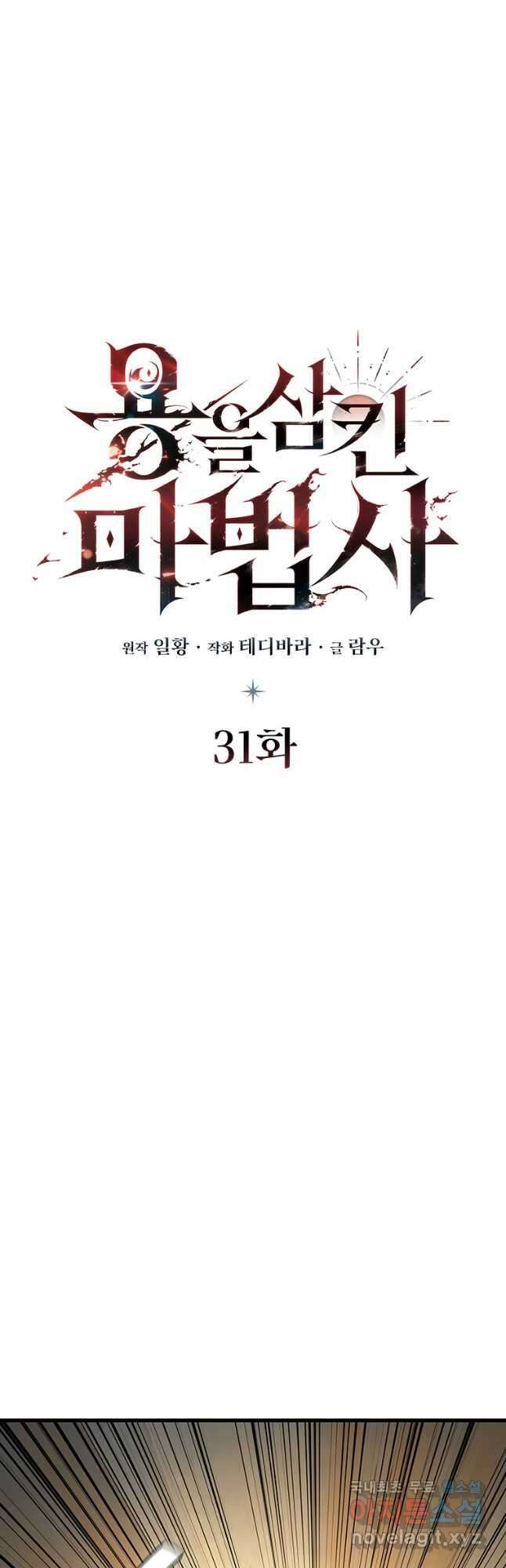 용을 삼킨 마법사 31화 11