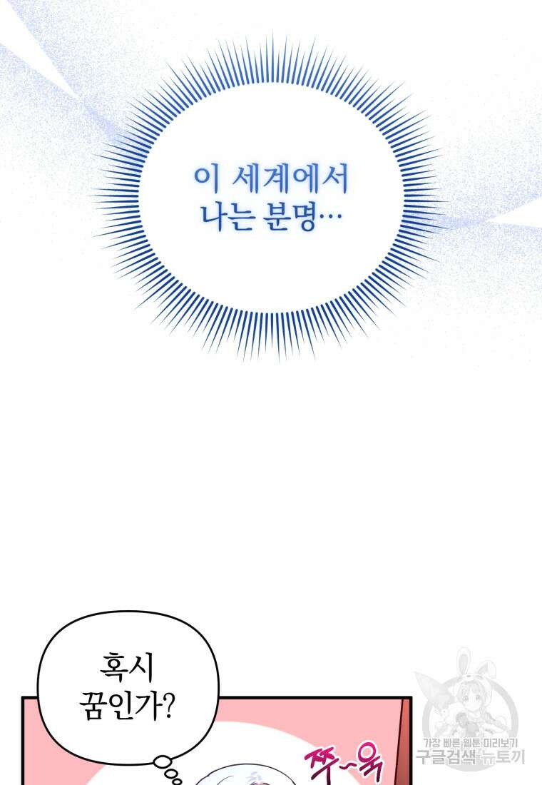 술탄의 귀한 고양이가 되었습니다 1화 27