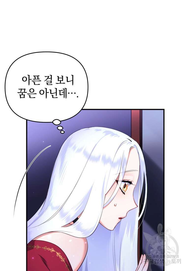 술탄의 귀한 고양이가 되었습니다 1화 29
