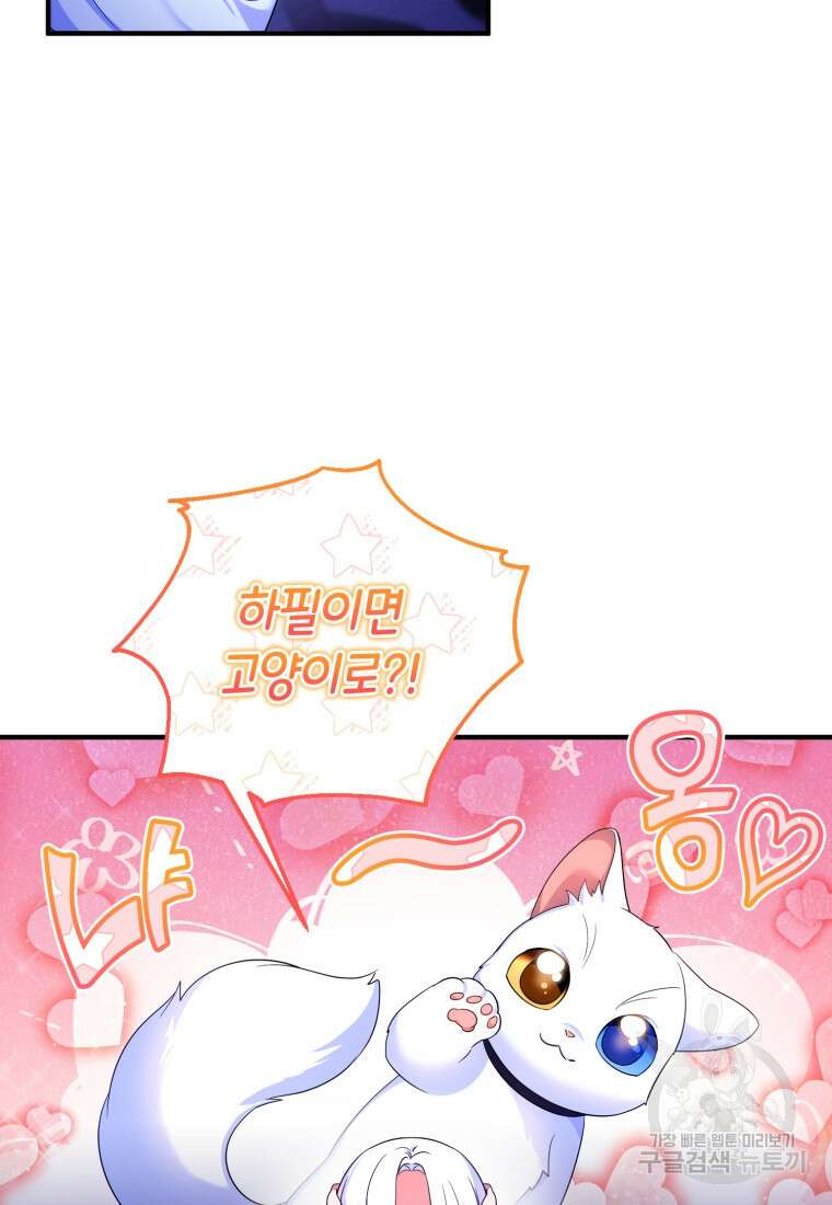 술탄의 귀한 고양이가 되었습니다 11화 14