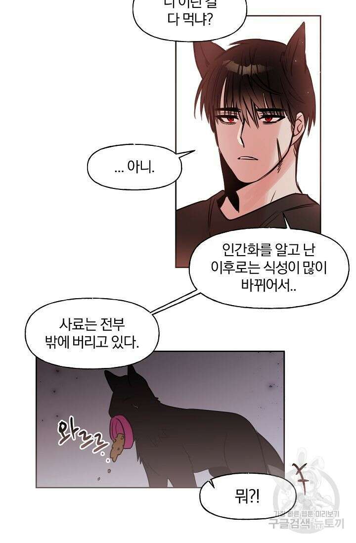 골판지 상자 안 고양이씨 시즌2 14화 4