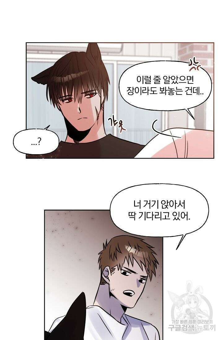 골판지 상자 안 고양이씨 시즌2 14화 13