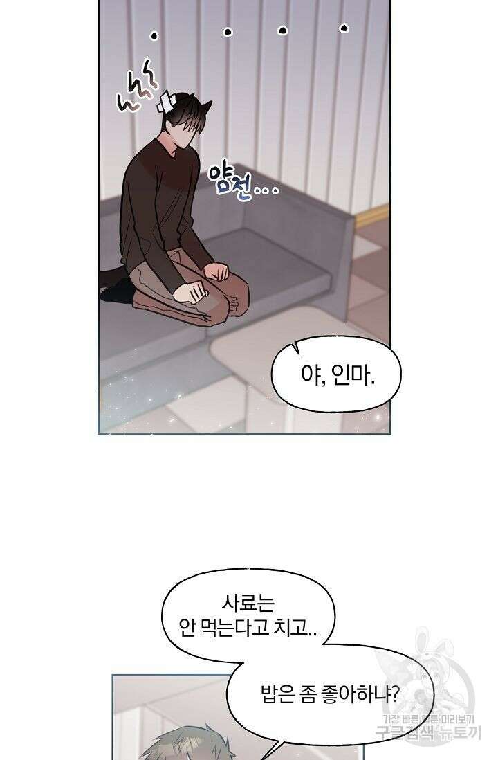 골판지 상자 안 고양이씨 시즌2 14화 20