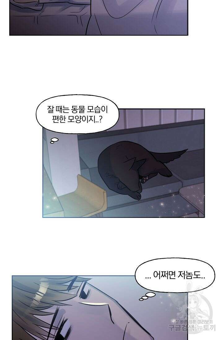 골판지 상자 안 고양이씨 시즌2 14화 32