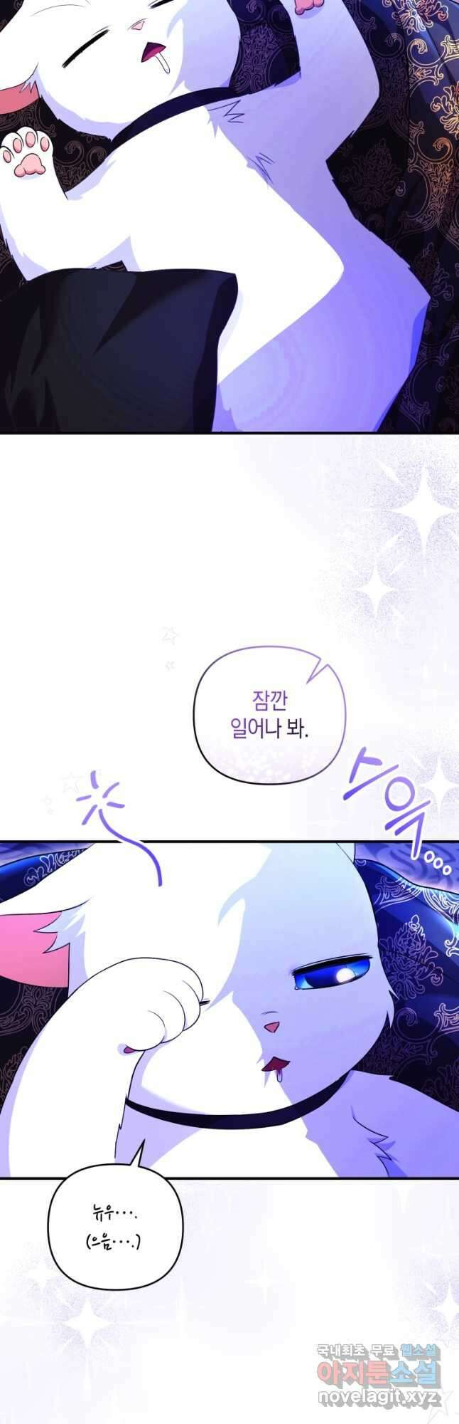 술탄의 귀한 고양이가 되었습니다 26화 2