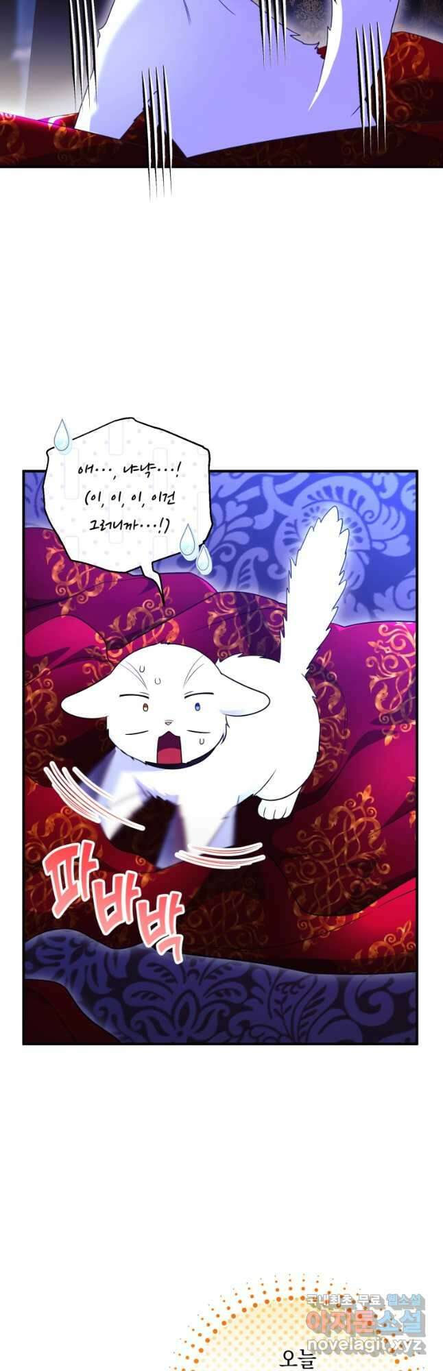 술탄의 귀한 고양이가 되었습니다 26화 6