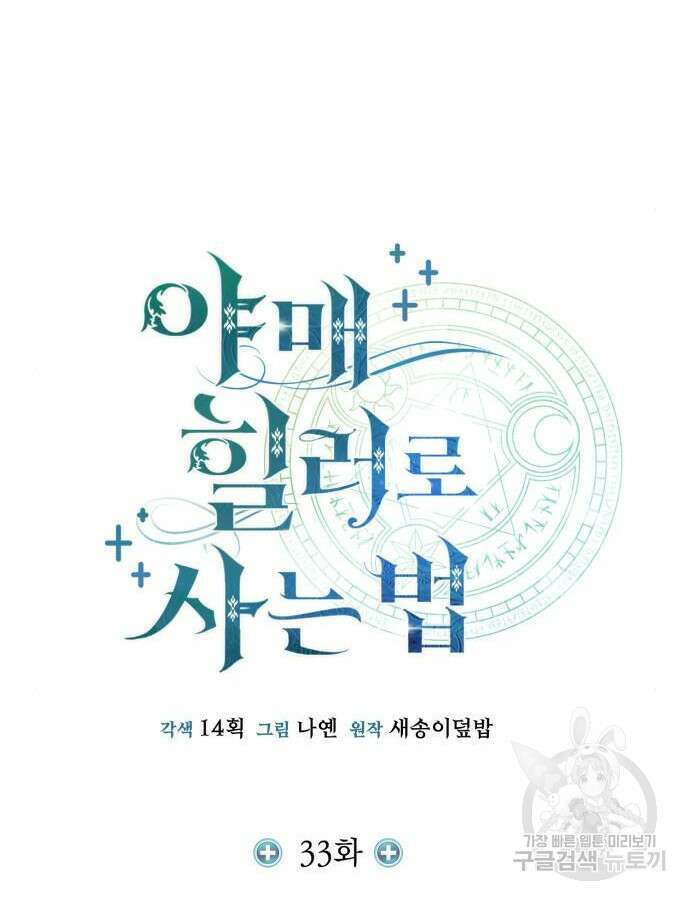 야매 힐러로 사는 법 33화 41