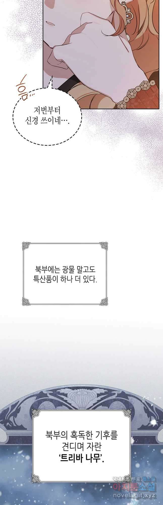 이번 생은 가주가 되겠습니다 126화 12
