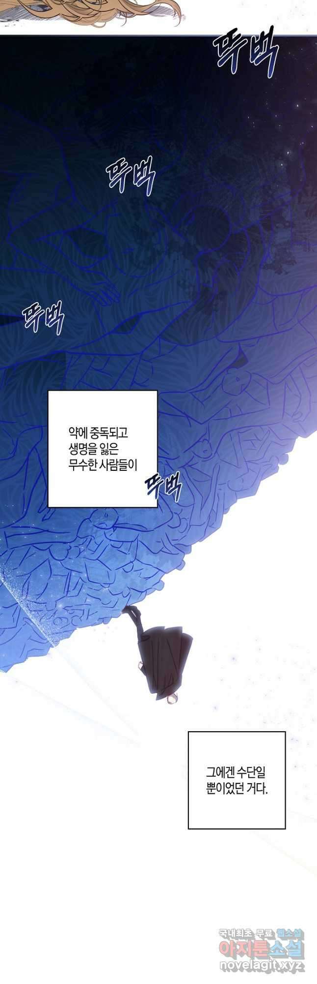 흑막 남편과의 이혼에 실패한 것 같다 66화 5