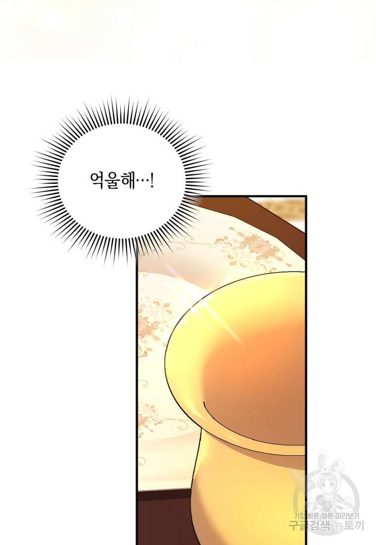 술탄의 귀한 고양이가 되었습니다 28화 8
