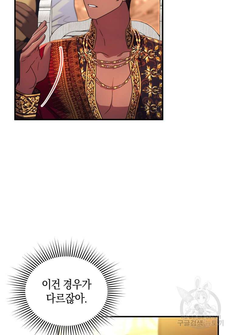 술탄의 귀한 고양이가 되었습니다 28화 10